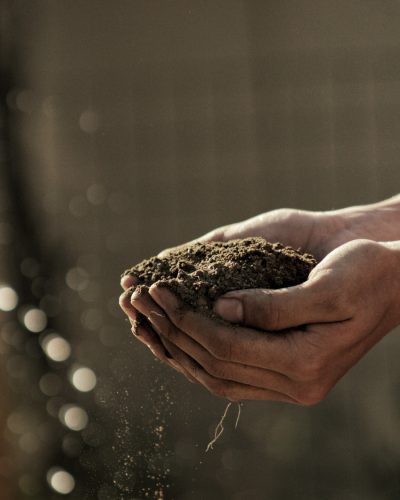 Organic soil farming sustainable
