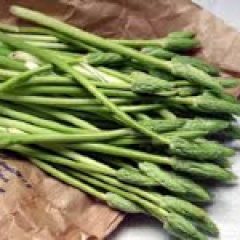 wild-asparagus-1